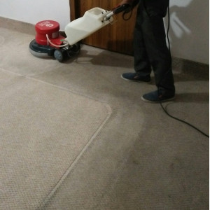 Top Carpet Shampooing Service