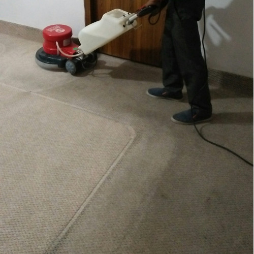 Top Carpet Shampooing Service - Best RUI, Nagpur, Maharashtra products
