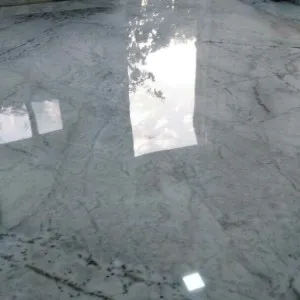 Floor Maintenance Services