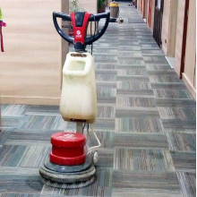 Carpet Dry Cleaning in Palwal