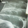 Stained Carpet Cleaning Service in Gurgaon