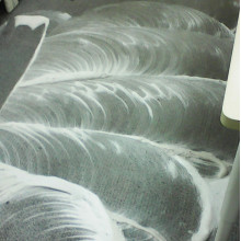 Stained Carpet Cleaning Service in Gurgaon