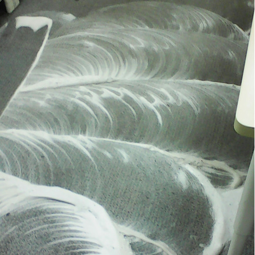 Stained Carpet Cleaning Service - Carpet Cleaning Services