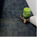 Carpet Shampooing in Gurgaon