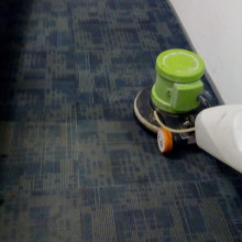 Carpet Shampooing in Wankaner, Rajkot, Gujarat