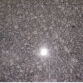 Granite Floor Polishing Service in Devla