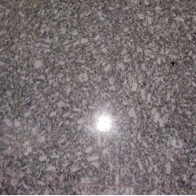 Granite Floor Polishing Service in Devla