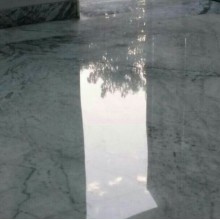 Floor Polishing in Naraina