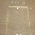 Professional Floor Polisher