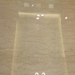 Professional Floor Polisher