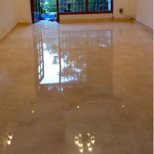 Marble Cleaning Services in Vikaspuri, Delhi