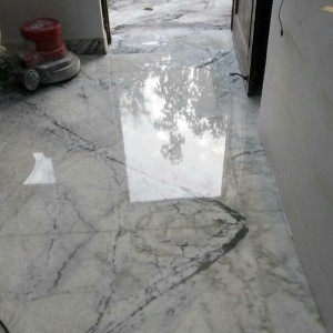 Floor Cleaning Service