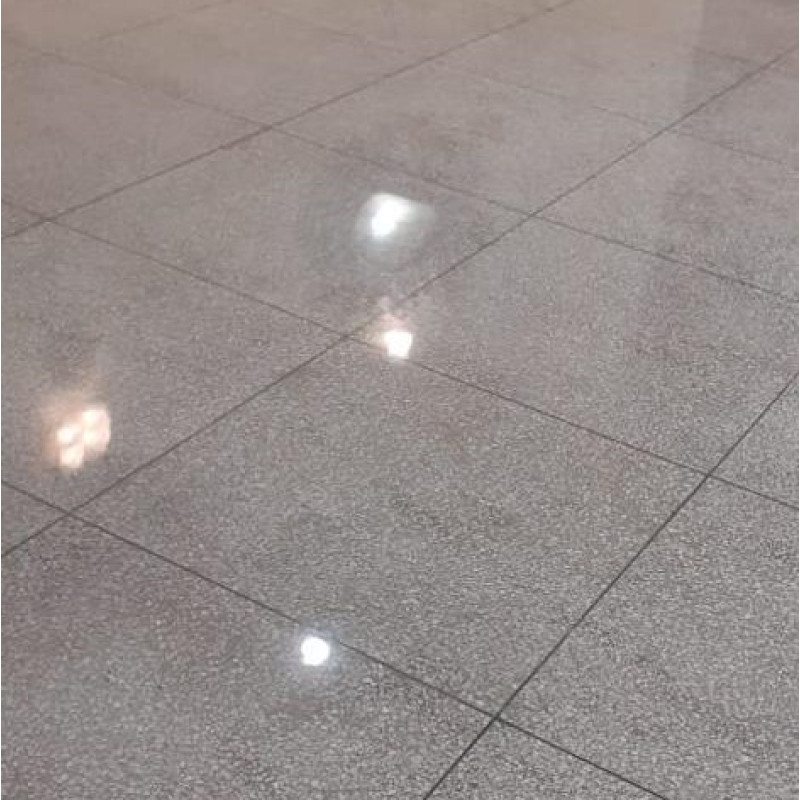 Mosaic Floor Polishing In Vasant Vihar