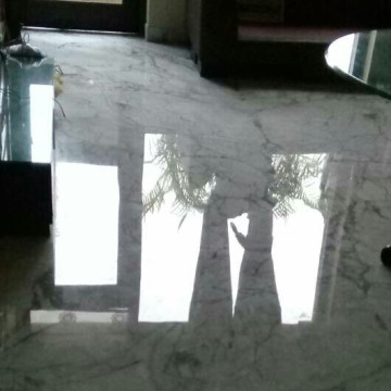 Professional Marble Floor Polishing Contractors in Bilsi