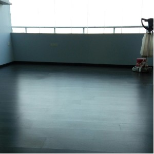 Floor Polishing