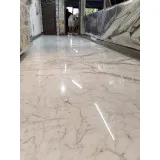 UP MARBLE POLISH SERVICES logo