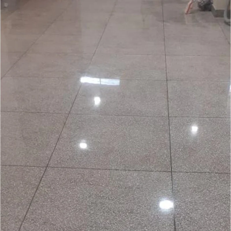 Mosaic Floor Polishing