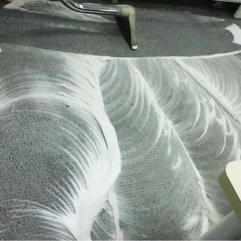 Carpet Cleaning Service In Gurgaon/Gurugram Carpet Cleaning Service In Gurgaon/Gurugram